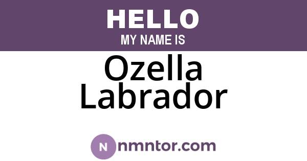 Ozella Labrador
