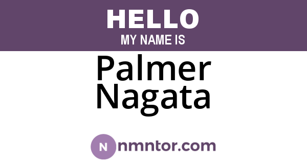 Palmer Nagata