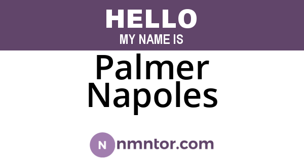 Palmer Napoles