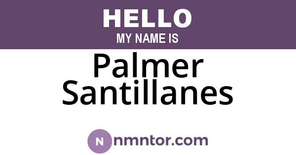 Palmer Santillanes