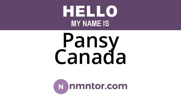 Pansy Canada