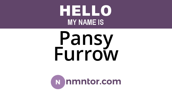 Pansy Furrow