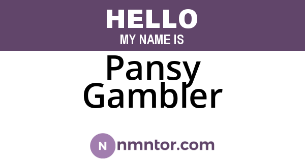 Pansy Gambler