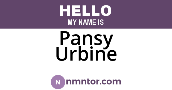 Pansy Urbine