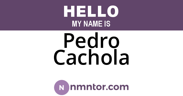 Pedro Cachola