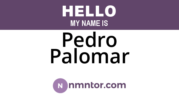 Pedro Palomar