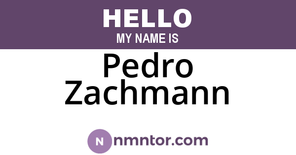 Pedro Zachmann