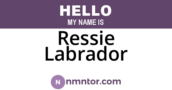 Ressie Labrador