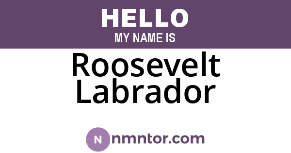 Roosevelt Labrador