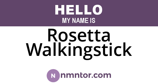 Rosetta Walkingstick