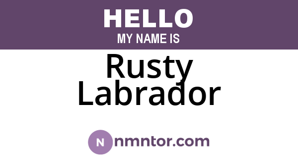 Rusty Labrador