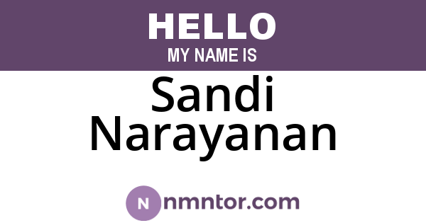 Sandi Narayanan