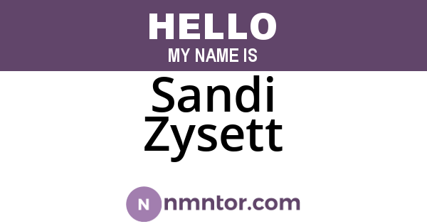 Sandi Zysett