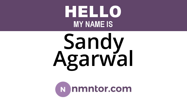 Sandy Agarwal