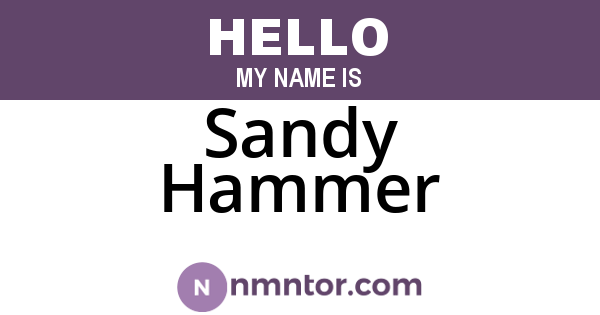 Sandy Hammer