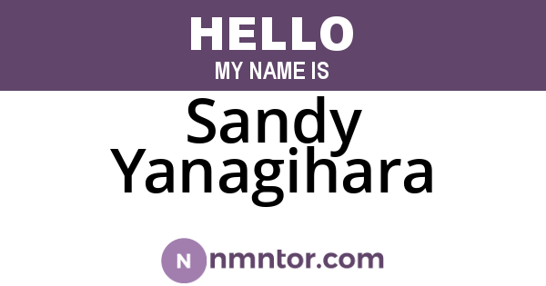 Sandy Yanagihara