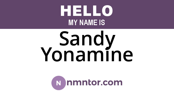 Sandy Yonamine