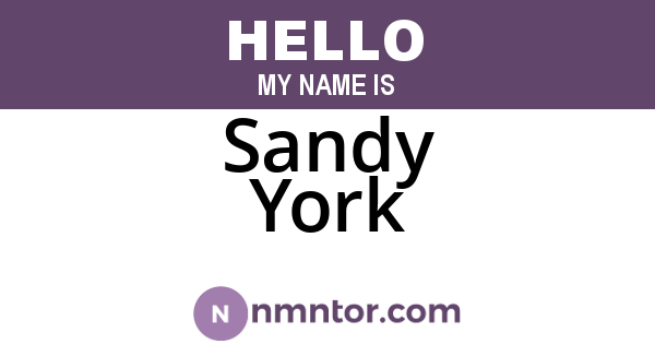Sandy York