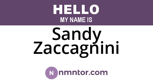 Sandy Zaccagnini