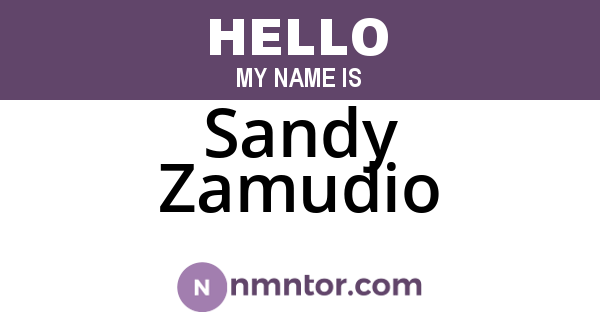 Sandy Zamudio