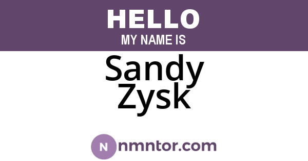 Sandy Zysk