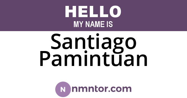 Santiago Pamintuan