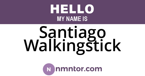 Santiago Walkingstick