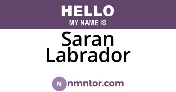 Saran Labrador
