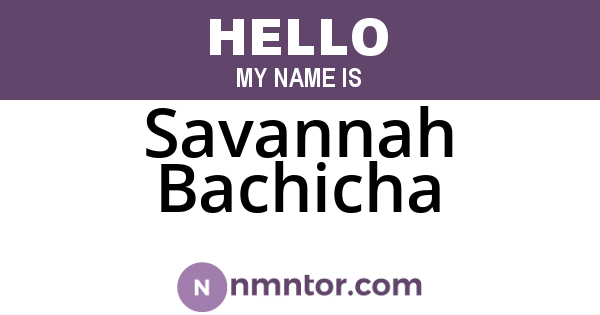 Savannah Bachicha