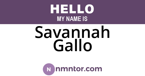 Savannah Gallo