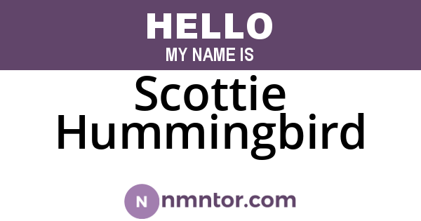 Scottie Hummingbird