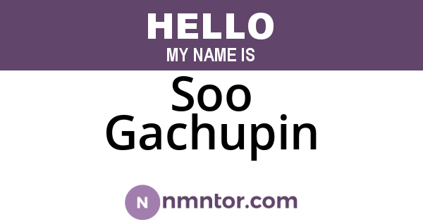 Soo Gachupin