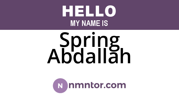 Spring Abdallah
