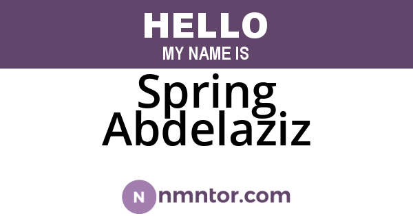 Spring Abdelaziz