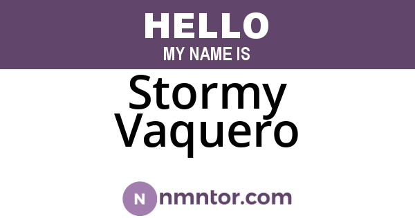 Stormy Vaquero