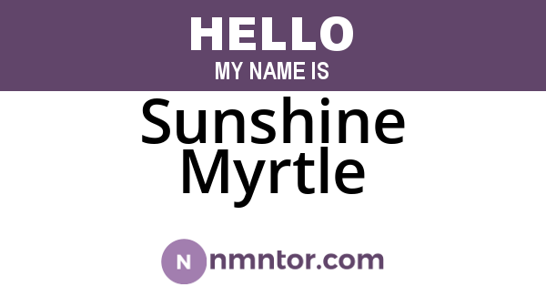 Sunshine Myrtle
