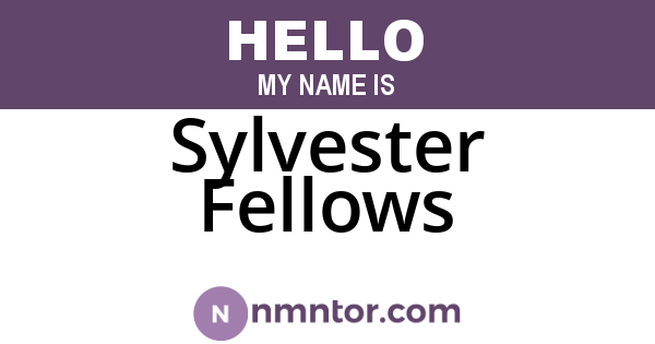 Sylvester Fellows