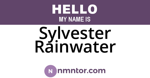 Sylvester Rainwater