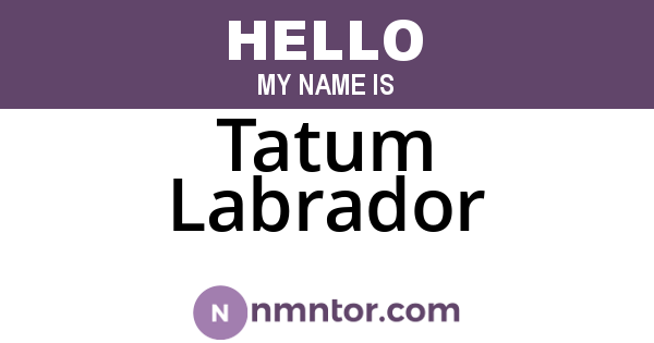 Tatum Labrador