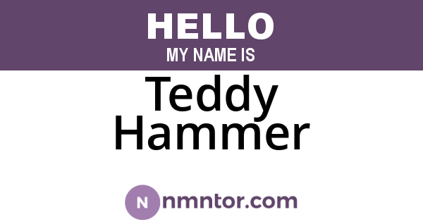 Teddy Hammer