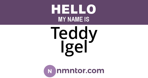 Teddy Igel