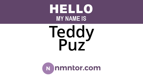 Teddy Puz