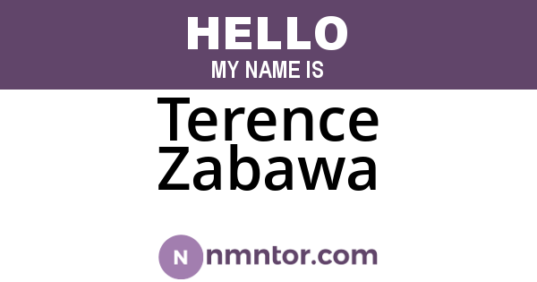 Terence Zabawa