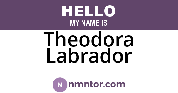 Theodora Labrador