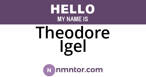 Theodore Igel