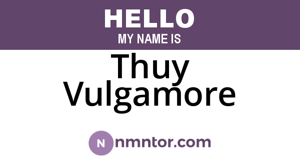 Thuy Vulgamore