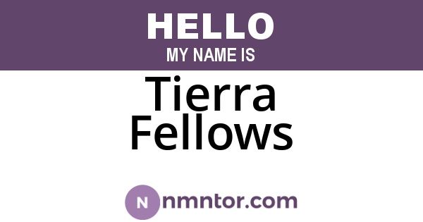 Tierra Fellows