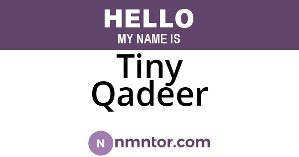 Tiny Qadeer