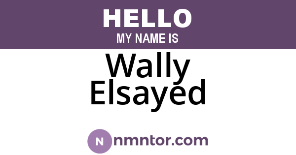 Wally Elsayed