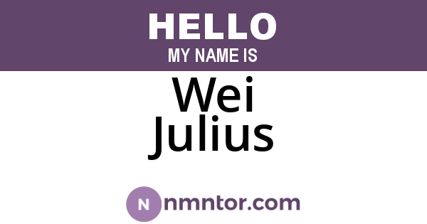 Wei Julius
